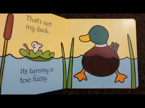 Usborne touchy-feely books That's not my duck