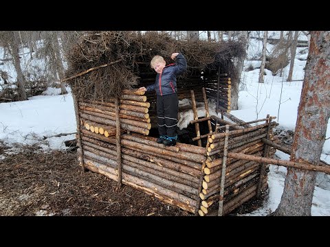 8 Days Camping &amp; Building a Bushcraft Survival Shelter with My 5 yr old Son