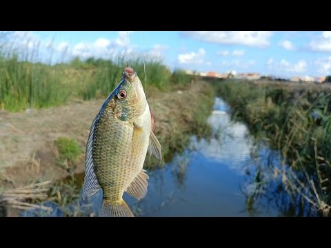 Fishing in tight spaces