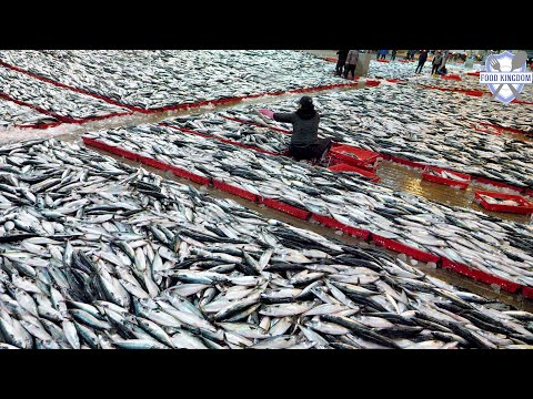 Amazing! Korean largest fish market and boneless mackerel mass production / Korean fish factory