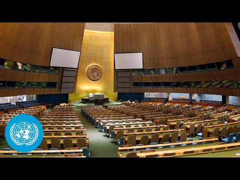 UN General Assembly: International Criminal Court &amp;amp; Israel-Palestine (2 Meetings) | United Nations