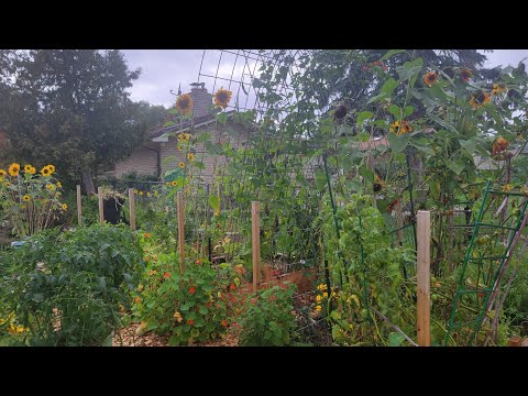 My 2023 Biggest Gardening Mistakes ( And Wins!🥳 | My Garden Recap In A Year