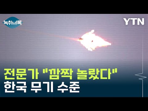 전문가 &quot;깜짝 놀랐다&quot;...아덱스(ADEX)에 전시된 한국 무기 수준 [Y녹취록] / YTN