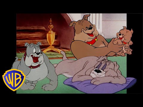 Tom &amp; Jerry | Best of Spike 🐶 | Classic Cartoon Compilation | 