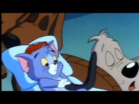 Tom and Jerry Kids S 01 E 03 B - DOG DAZE AFTERNOON |LOOcaa|