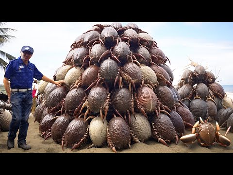 Why Don&amp;rsquo;t They Eat Millions of Coconut Crabs in Japan?