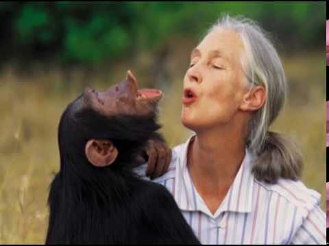 Jane Goodall on How Kids Can Make a Difference