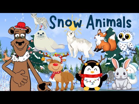 Kids Video: Snow Animals Adventure with Sunny!