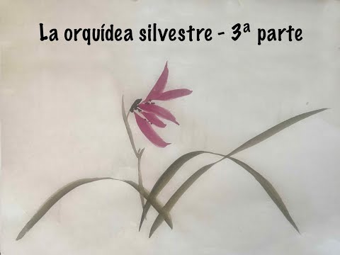 Sumi-e - Orqu&iacute;dea silvestre - 3&ordf; parte