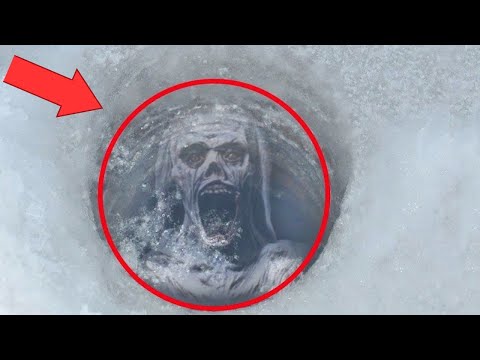 These creatures are frozen in the ice.