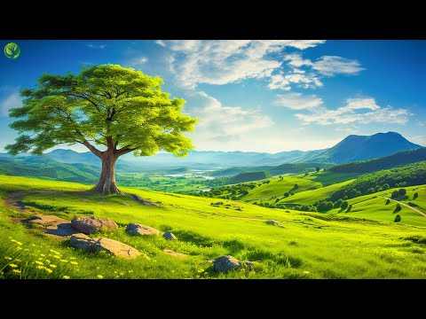 Beautiful Relaxing Music - Stop Overthinking, Stress Relief Music, Sleep Music, Calming Music #55