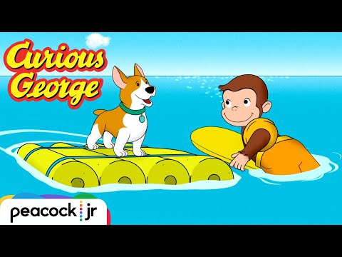 Day at the Dog Beach | CURIOUS GEORGE