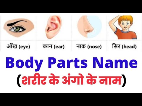 body parts names in english with pictures