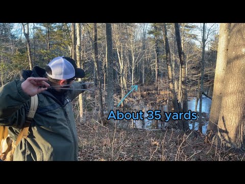 Twig and pinecone hunting with a slingshot