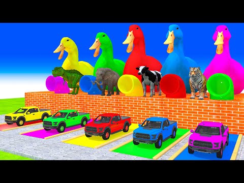 5 Giant Duck, Monkey, Piglet, chicken, dog, Kangaroo, Sheep, Transfiguration funny animal 2023