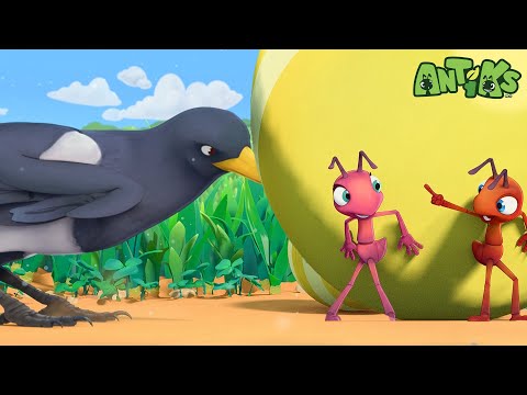 Eggheads | 😄🐜| Antiks Adventures - Joey and Boo's Playtime