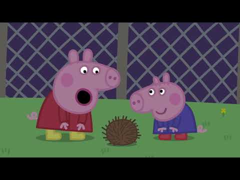 Peppa Pig Learns About Nocturnal Animals!