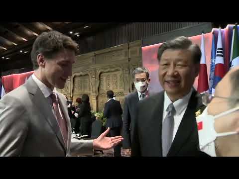 Chinese President Xi confronts Justin Trudeau over G20 talks being 'leaked' to the press