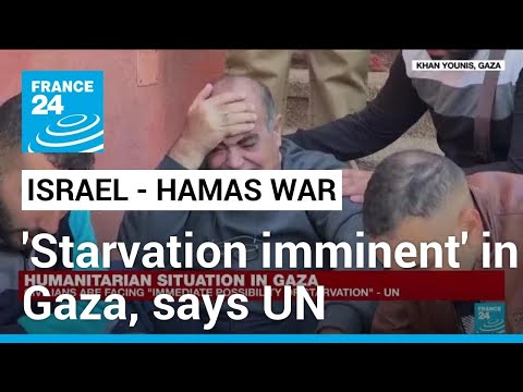 UN says starvation imminent in Gaza as Israel continues to search Al Shifa hospital &amp;bull; FRANCE 24