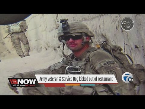 Army veteran and his service dog kicked out of restaurant