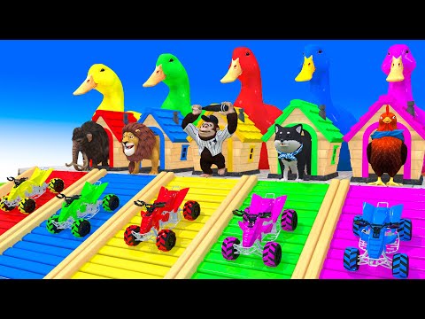 5 Giant Duck, Monkey, Piglet, chicken, dog, Lion, Sheep, Transfiguration funny animal 2023