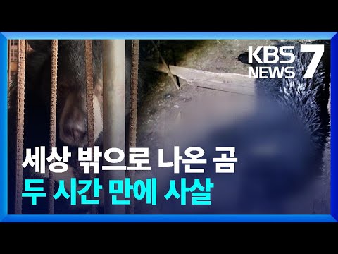 사육장서 또 곰 탈출&hellip;열악한 환경 여전 / KBS  2023.12.18.