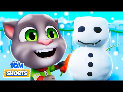 Winter with Tom ⛄❄️ Talking Tom Shorts Compilation