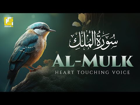 Beautiful Quran Recitation Voice | Surah Al-Mulk سورة الملك (the kingdom) | Zikrullah TV