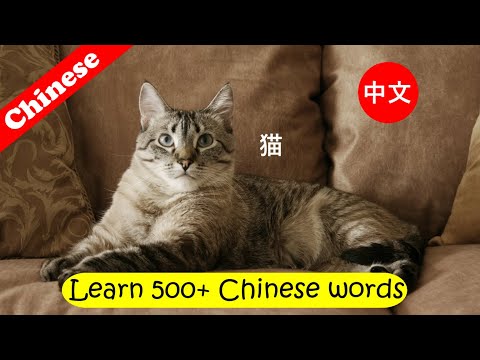 Learn Chinese for kids  [ Day 1.2 ]  Body | Animals | Baby | Food | Stationery | Flashcard Program