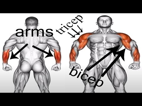 9 Best Exercises For Forearms  &quot;That BLEW UP My Arms&quot;