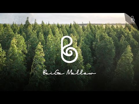 🌳Ultimate relaxation, new age music therapy for the mind