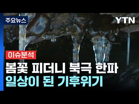 [뉴스라이더] 봄꽃 피더니 최강 한파...'극과 극' 날씨, 왜 이러나? / YTN