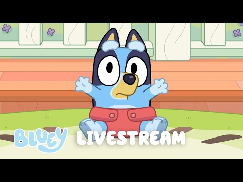 🔴LIVE: BLUEY FULL EPISODES LIVESTREAM