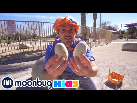 Blippi Learns About Dinosaur Eggs | 