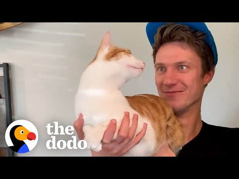 Cat Stops At Nothing To Be Around His Mom's Boyfriend | The Dodo