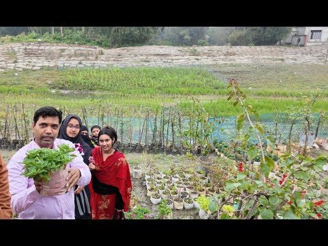 কিছু ফুল উপহার পেলাম | Doyel Agro