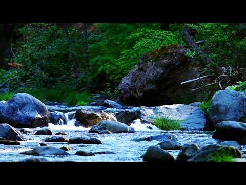 Relaxation Music To Relieve Stress, Anxiety and Depressive States.Healing the Mind