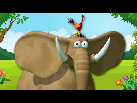 Gazoon - Berlindung Di Rumah Bertengger | Kartun Lucu | ToBo Kids TV Bahasa