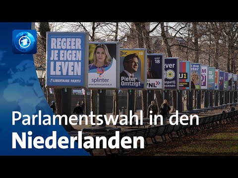 Wahl in den Niederlanden: Neue Regierung nach Rutte