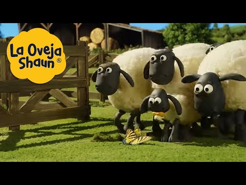 La Oveja Shaun 🐑 Oveja y mariposa 🐑 Dibujos animados para ni&ntilde;os