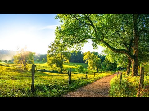 Gentle healing music for health and calming the nervous system, deep relaxation #6