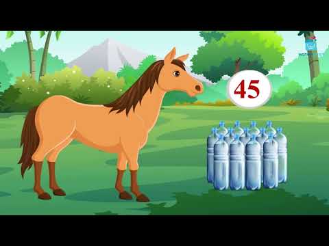 Fun Facts About Horses For Kids - Learn All About Horses