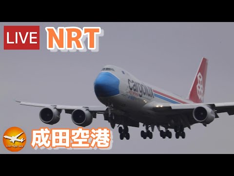 🔴LIVE at NARITA International Airport Plane Spotting　2024.01.20　成田空港ライブカメラ 成田空港　NRT/RJAA