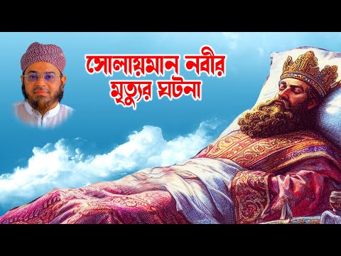 Mufti Nasir Uddin Ansari । মুফতি নাসির উদ্দিন ansari। bd waz - সোলায়মান নবীর ঘটনা -ansari waz