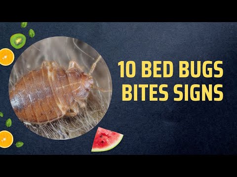 10 Bed Bugs Bites Signs