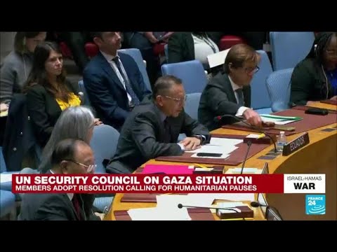 UN Security Council adopts resolution calling for 'extended humanitarian pauses' in Gaza