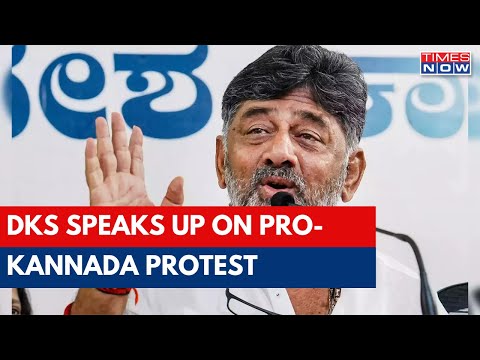 Pro-Kannada Protest: Karnataka Deputy CM DK Shivakumar Speaks Up, Says Disturbed That Protesters...