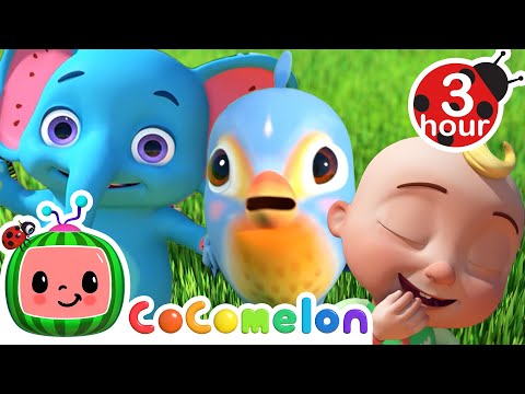 Itsy Bitsy Spider (Birdie) +| More Cocomelon - Nursery Rhymes | Fun Cartoons For Kids | Moonbug Kids