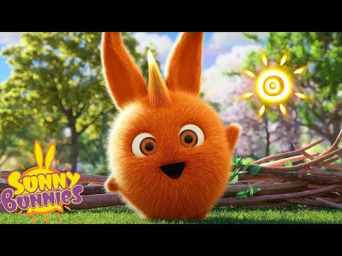 SUNNY BUNNIES - THE BEST OF SEASON 6 COMPILATION | Cartoons for Kids