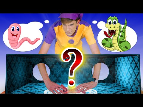 Guess What's in The Mystery Box! 📦⁇ | Kids Funny Songs